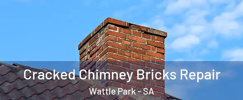 Cracked Chimney Bricks Repair Wattle Park - SA