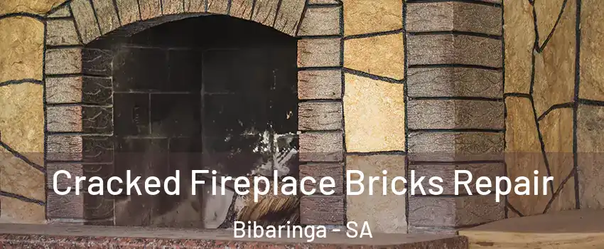  Cracked Fireplace Bricks Repair Bibaringa - SA