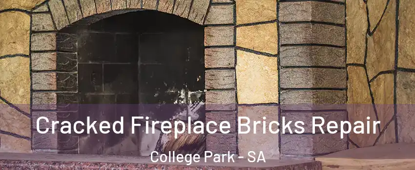 Cracked Fireplace Bricks Repair College Park - SA