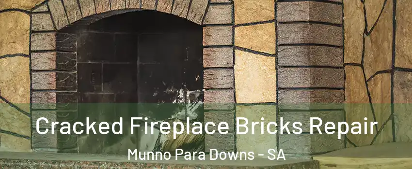 Cracked Fireplace Bricks Repair Munno Para Downs - SA