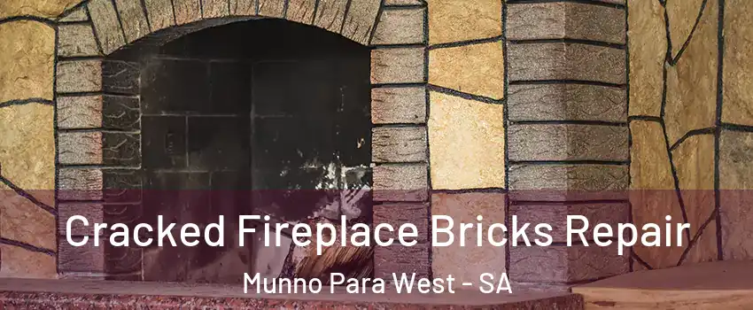 Cracked Fireplace Bricks Repair Munno Para West - SA