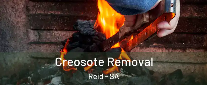 Creosote Removal Reid - SA