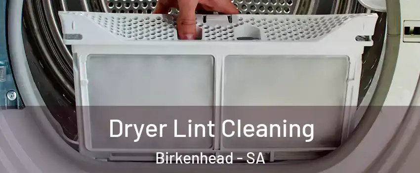  Dryer Lint Cleaning Birkenhead - SA