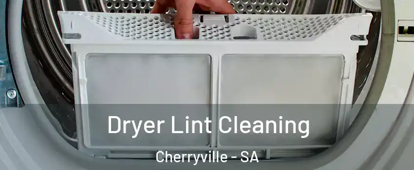 Dryer Lint Cleaning Cherryville - SA