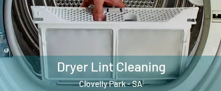 Dryer Lint Cleaning Clovelly Park - SA
