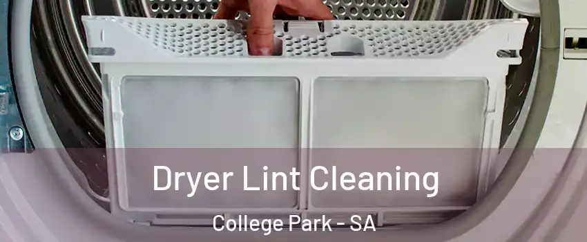 Dryer Lint Cleaning College Park - SA