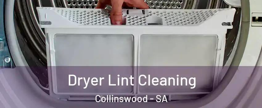Dryer Lint Cleaning Collinswood - SA