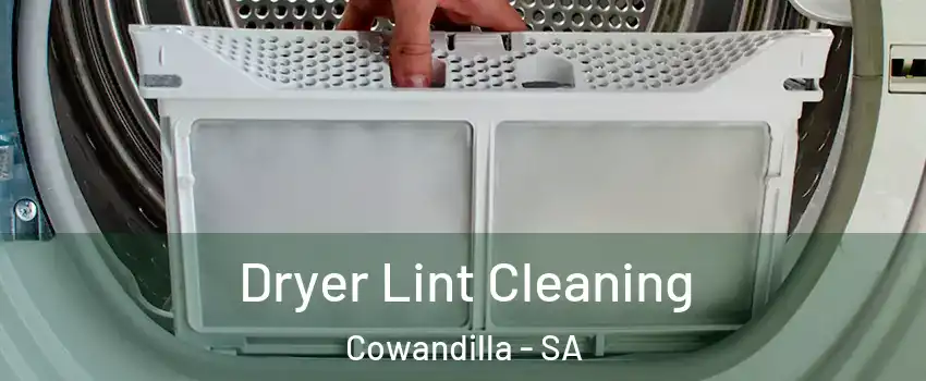 Dryer Lint Cleaning Cowandilla - SA