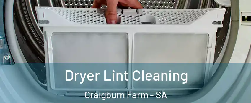 Dryer Lint Cleaning Craigburn Farm - SA