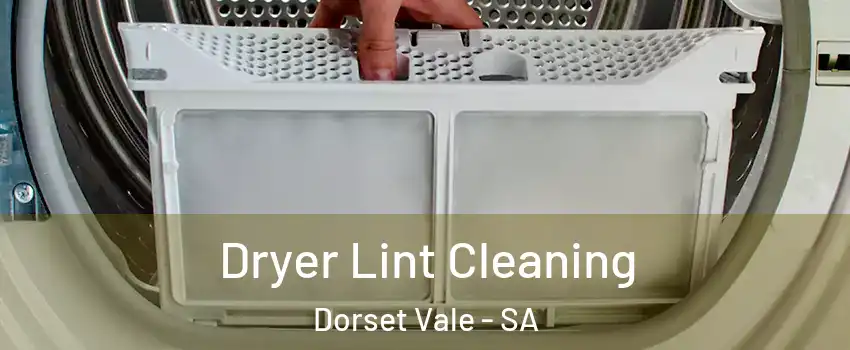  Dryer Lint Cleaning Dorset Vale - SA