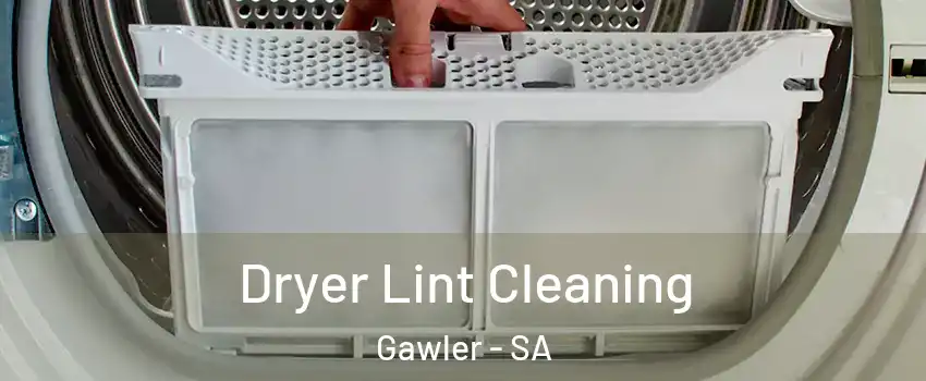 Dryer Lint Cleaning Gawler - SA