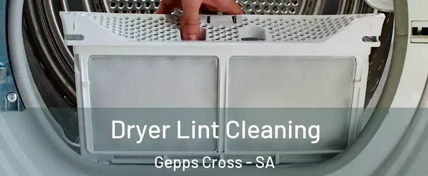 Dryer Lint Cleaning Gepps Cross - SA