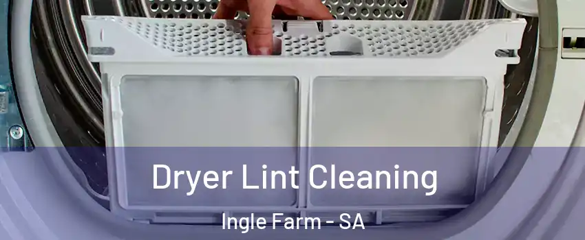 Dryer Lint Cleaning Ingle Farm - SA