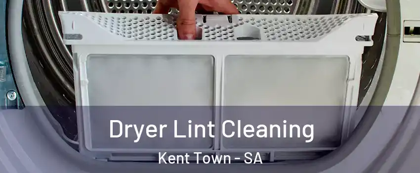 Dryer Lint Cleaning Kent Town - SA