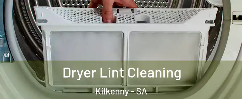 Dryer Lint Cleaning Kilkenny - SA