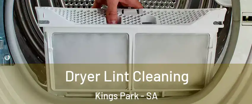Dryer Lint Cleaning Kings Park - SA
