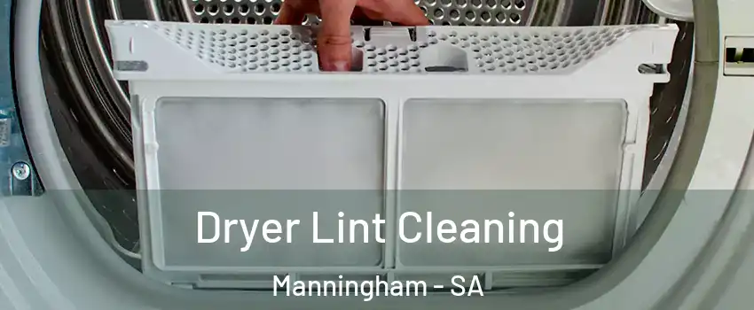  Dryer Lint Cleaning Manningham - SA