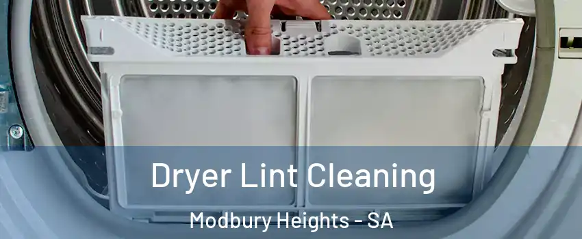 Dryer Lint Cleaning Modbury Heights - SA