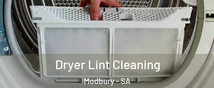 Dryer Lint Cleaning Modbury - SA