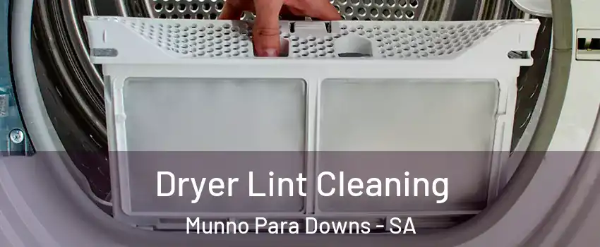 Dryer Lint Cleaning Munno Para Downs - SA