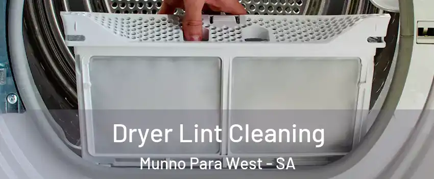 Dryer Lint Cleaning Munno Para West - SA