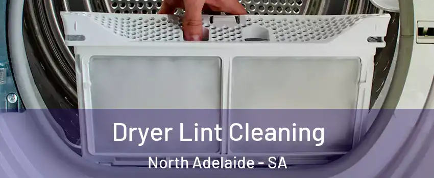 Dryer Lint Cleaning North Adelaide - SA