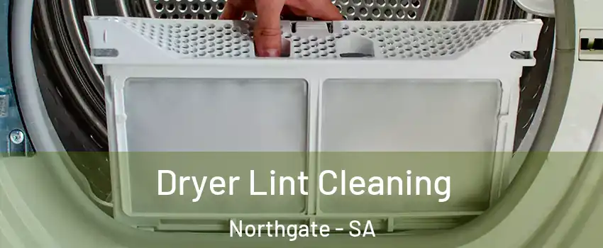 Dryer Lint Cleaning Northgate - SA