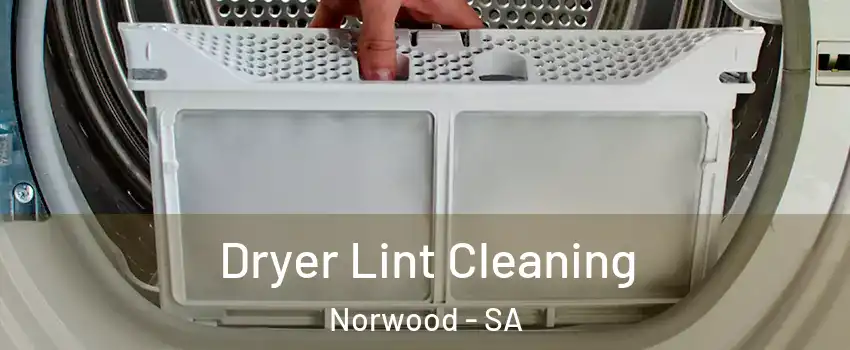 Dryer Lint Cleaning Norwood - SA