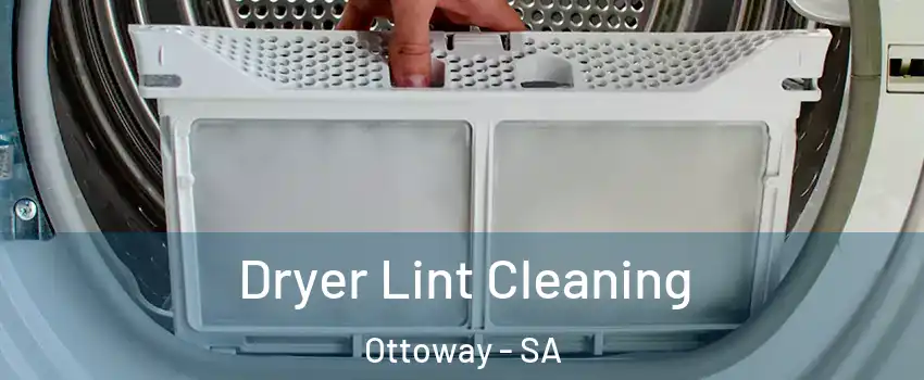 Dryer Lint Cleaning Ottoway - SA