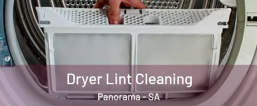 Dryer Lint Cleaning Panorama - SA