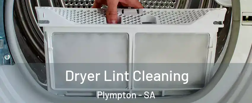 Dryer Lint Cleaning Plympton - SA