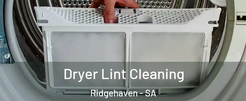 Dryer Lint Cleaning Ridgehaven - SA