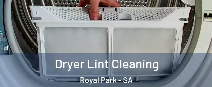 Dryer Lint Cleaning Royal Park - SA