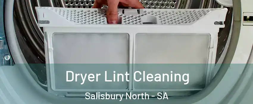 Dryer Lint Cleaning Salisbury North - SA