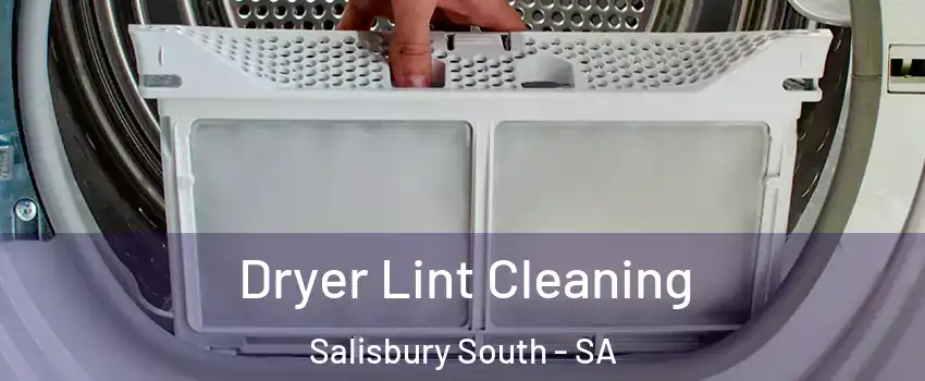 Dryer Lint Cleaning Salisbury South - SA