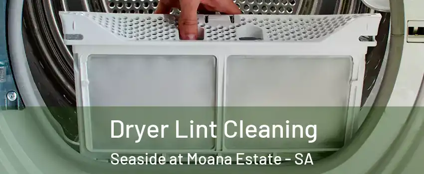 Dryer Lint Cleaning Seaside at Moana Estate - SA
