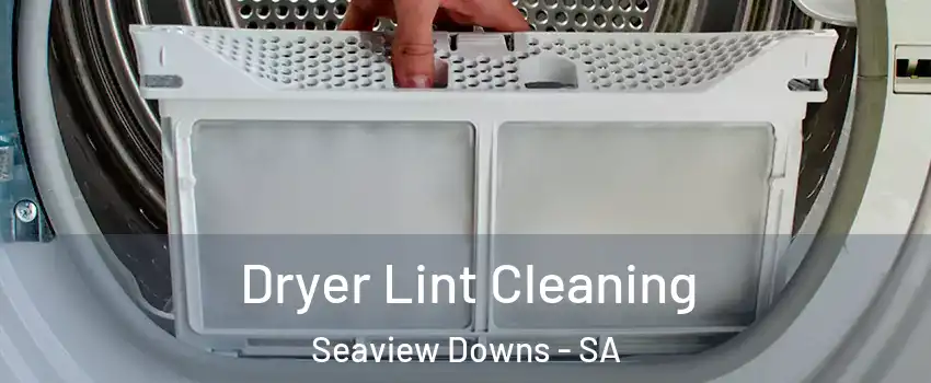 Dryer Lint Cleaning Seaview Downs - SA