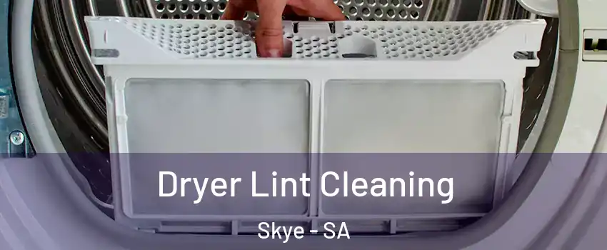  Dryer Lint Cleaning Skye - SA