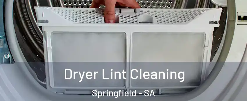 Dryer Lint Cleaning Springfield - SA