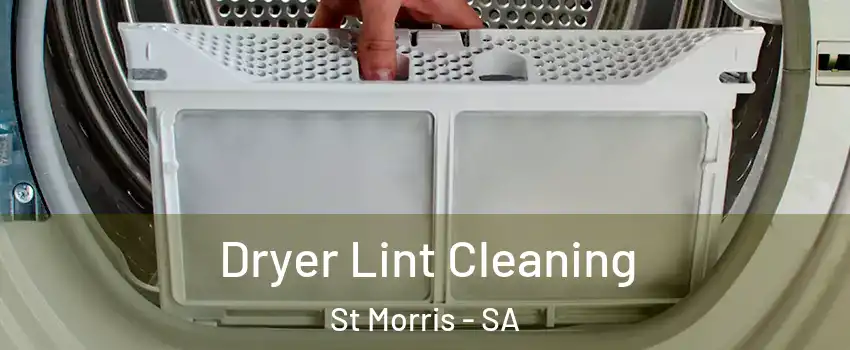Dryer Lint Cleaning St Morris - SA