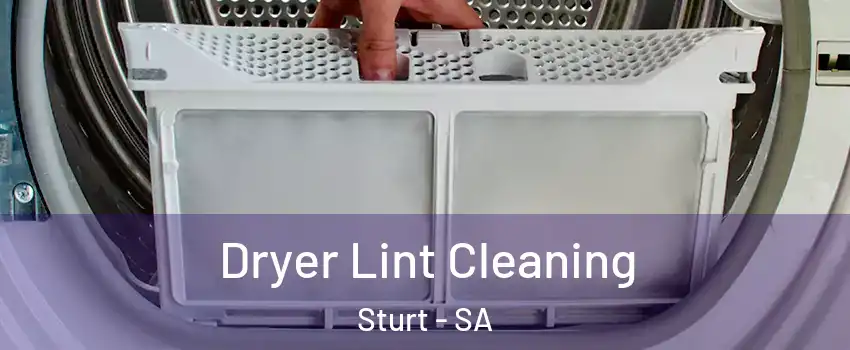 Dryer Lint Cleaning Sturt - SA