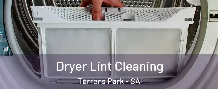 Dryer Lint Cleaning Torrens Park - SA