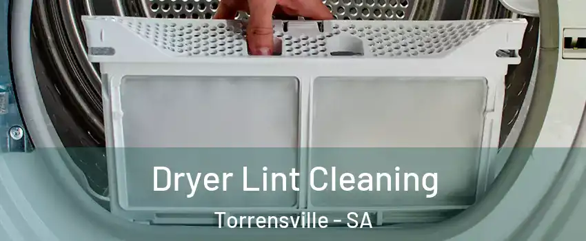 Dryer Lint Cleaning Torrensville - SA