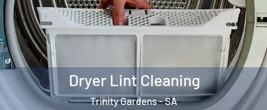 Dryer Lint Cleaning Trinity Gardens - SA