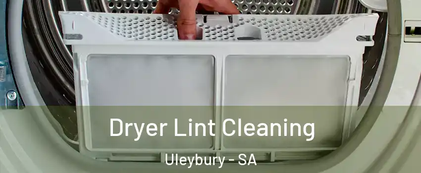 Dryer Lint Cleaning Uleybury - SA