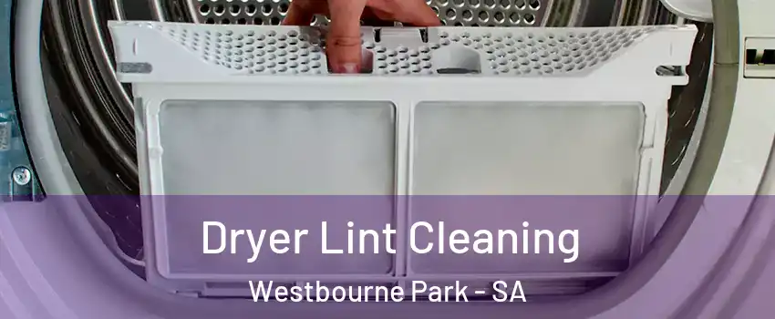 Dryer Lint Cleaning Westbourne Park - SA