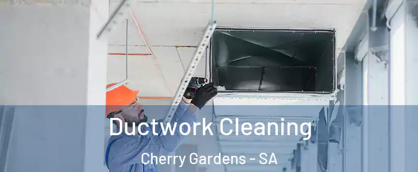 Ductwork Cleaning Cherry Gardens - SA