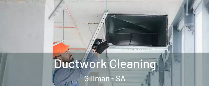 Ductwork Cleaning Gillman - SA