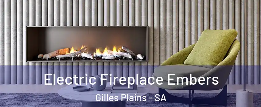 Electric Fireplace Embers Gilles Plains - SA