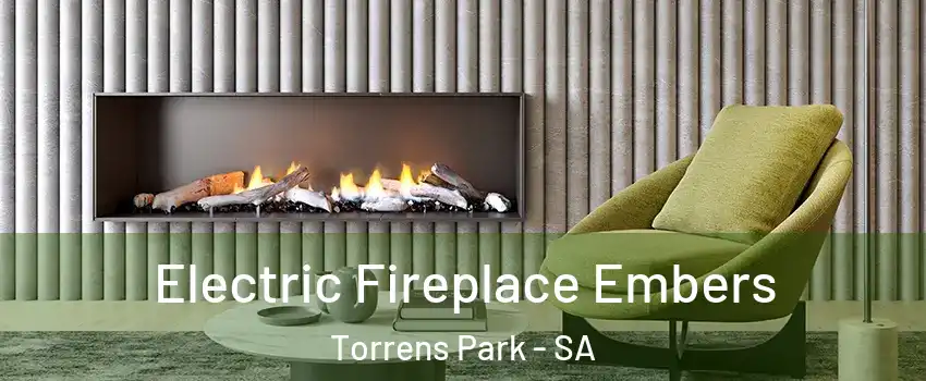 Electric Fireplace Embers Torrens Park - SA